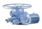 Bernard Controls Solutions for Petrochemical